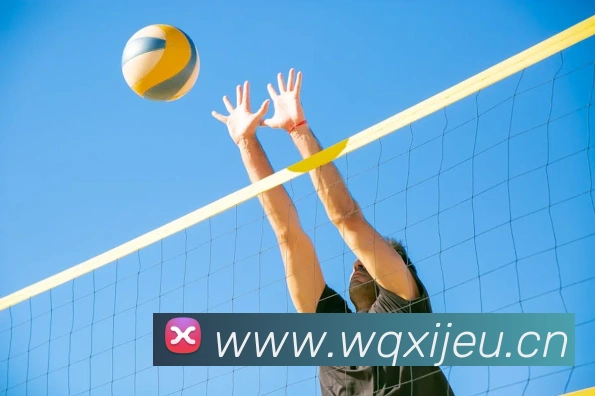 hth官网首页网址平台生态图